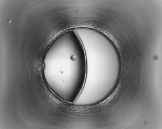 X0000099300985200805161344