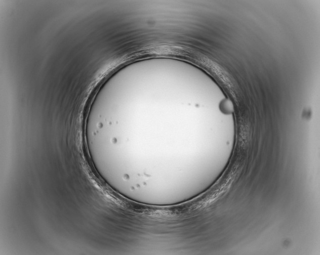 X0000099300986200805161344