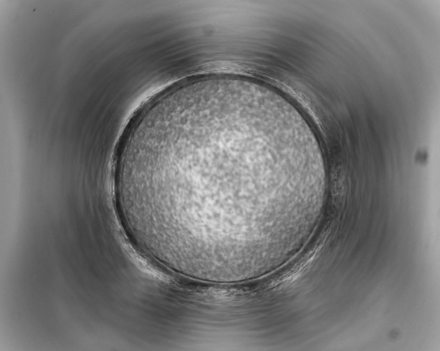 X0000099300987200805161344