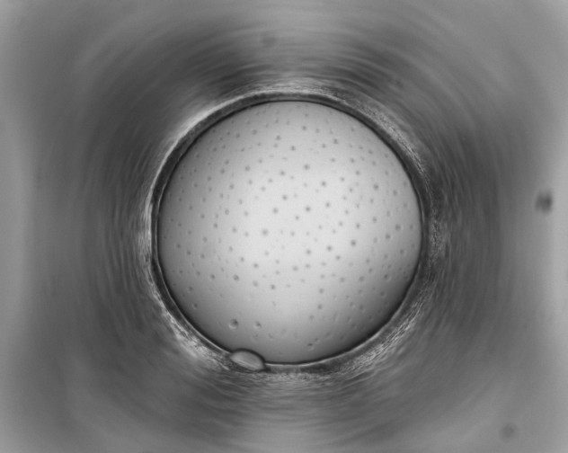 X0000099300988200805161344