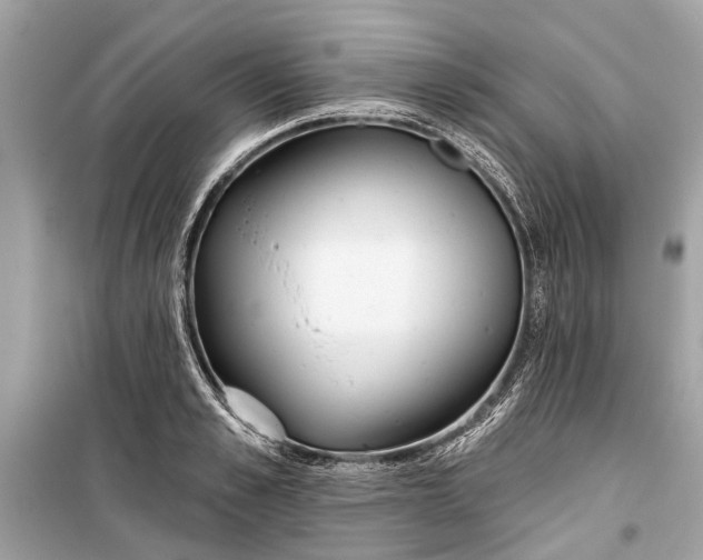 X0000099300989200805161344