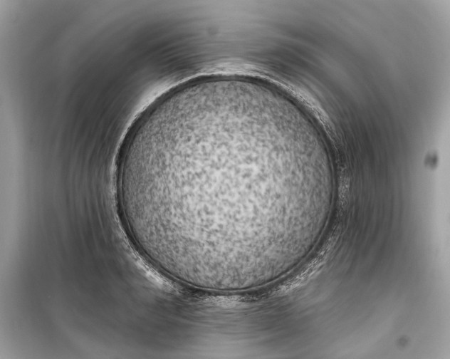 X0000099300990200805161344