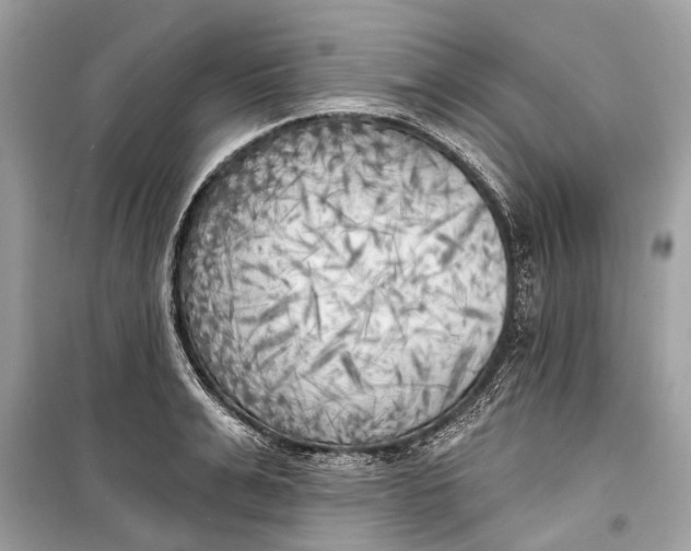 X0000099300991200805161344