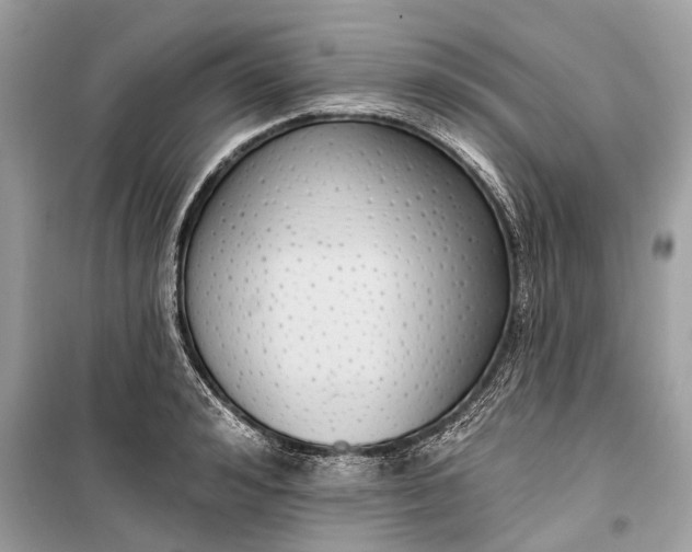 X0000099300992200805161344