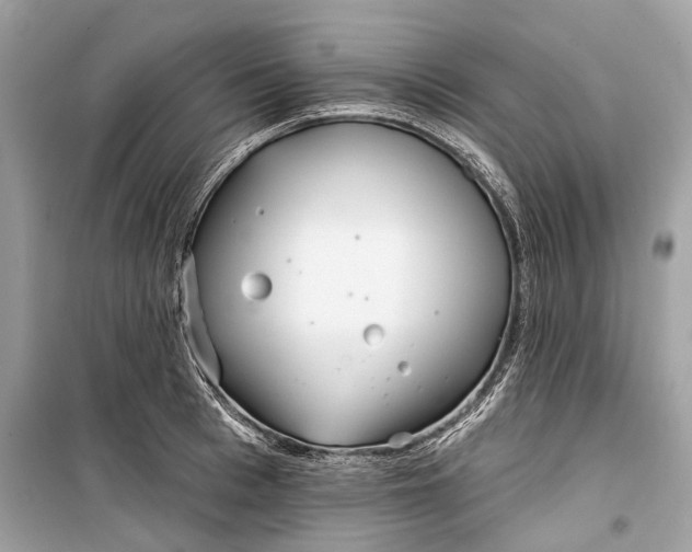 X0000099300993200805161344