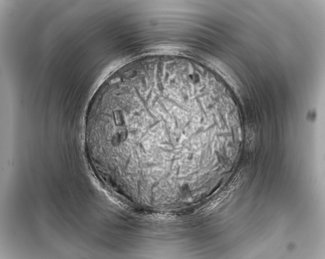 X0000099300994200805161344