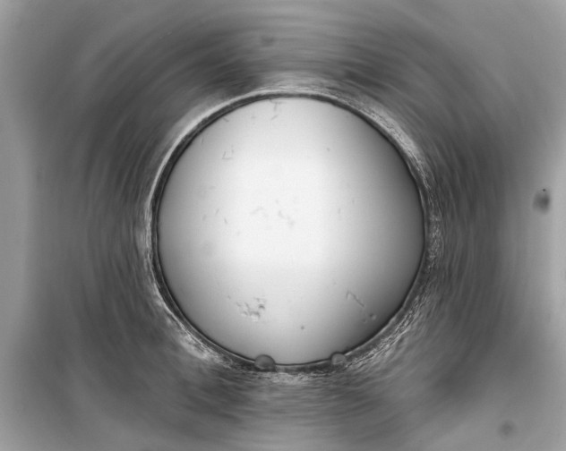 X0000099300996200805161344