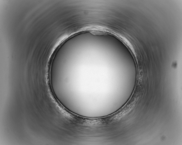 X0000099300997200805161344