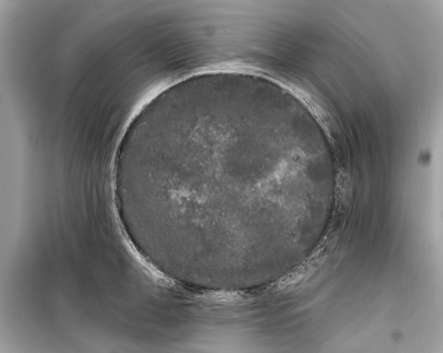 X0000099300998200805161344