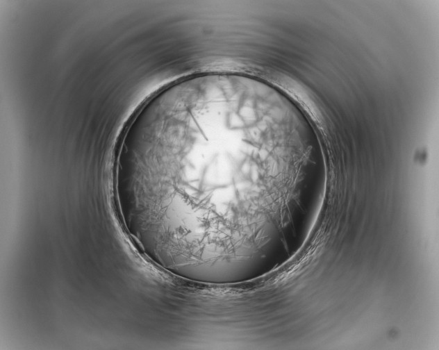 X0000099301000200805161344