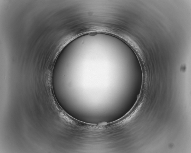 X0000099301001200805161344