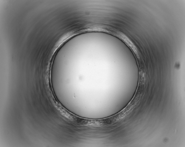 X0000099301002200805161344