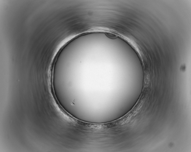 X0000099301003200805161344