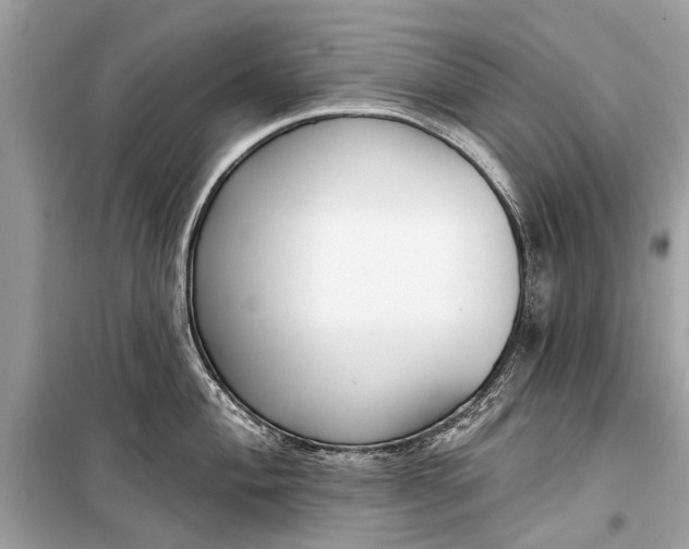 X0000099301004200805161344