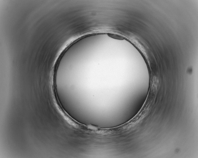 X0000099301005200805161344