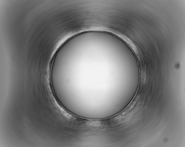 X0000099301006200805161344