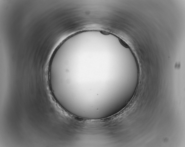 X0000099301008200805161344