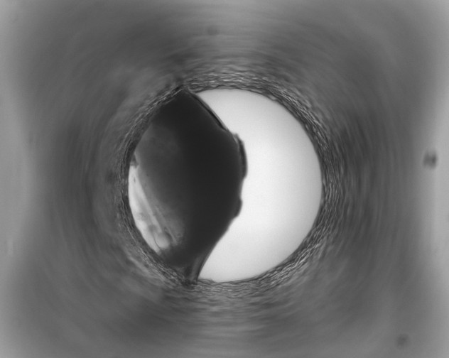 X0000099301009200805161343