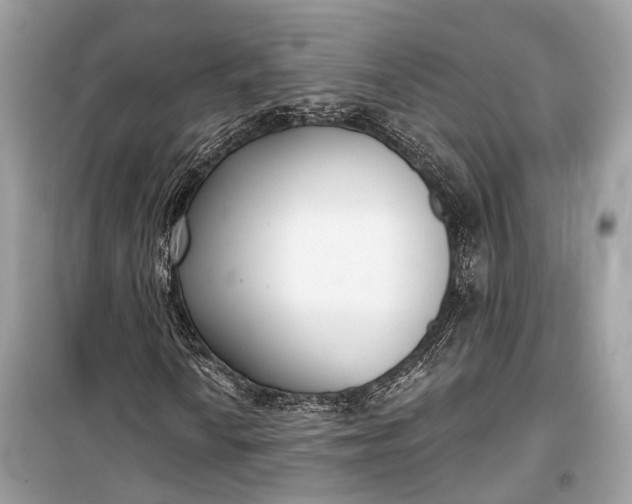 X0000099301010200805161343