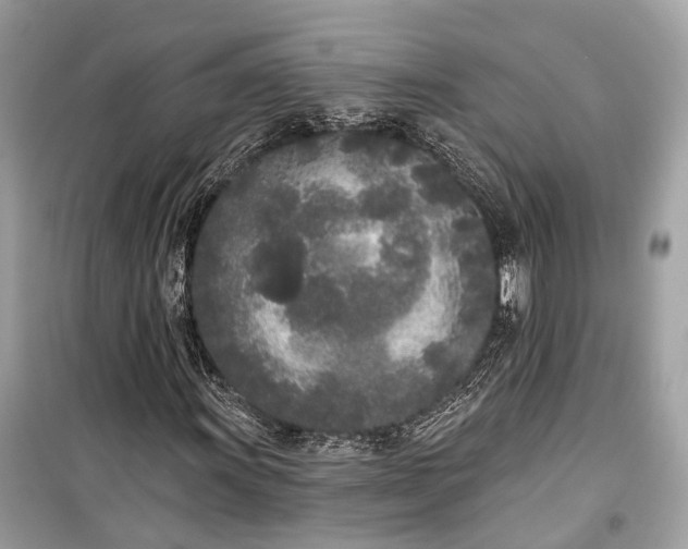 X0000099301011200805161343