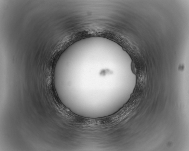 X0000099301012200805161343