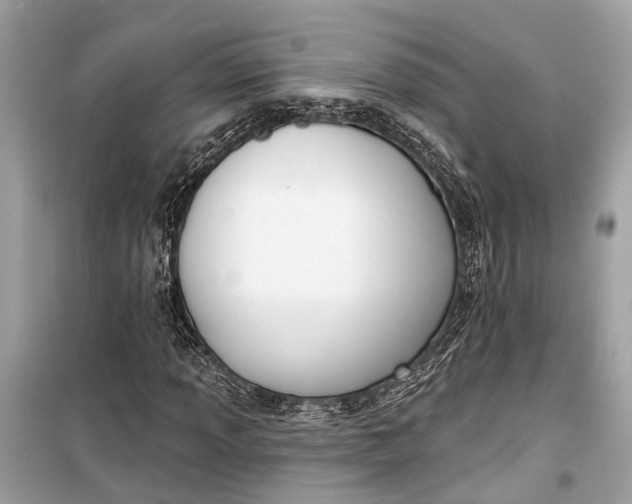 X0000099301013200805161343