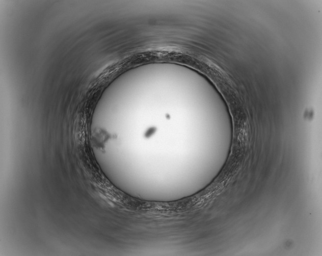 X0000099301014200805161343