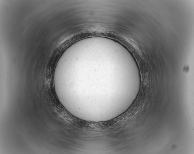 X0000099301015200805161343