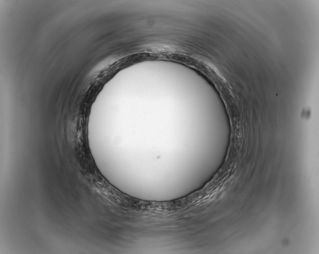 X0000099301016200805161343