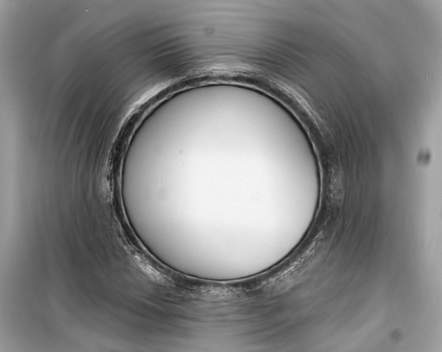 X0000099301018200805161343