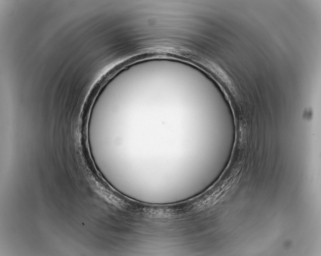 X0000099301020200805161343