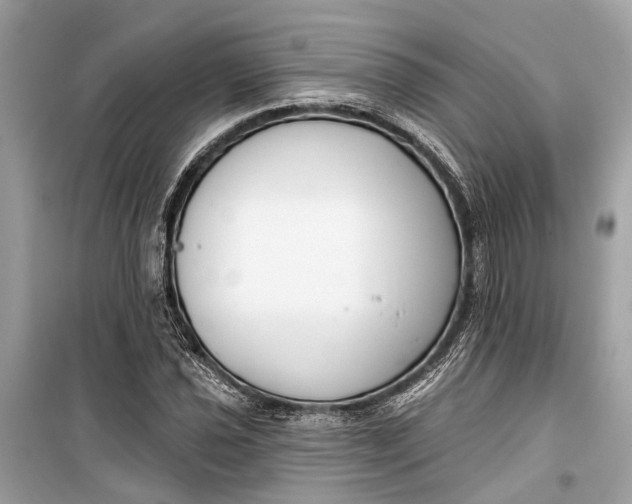 X0000099301021200805161343