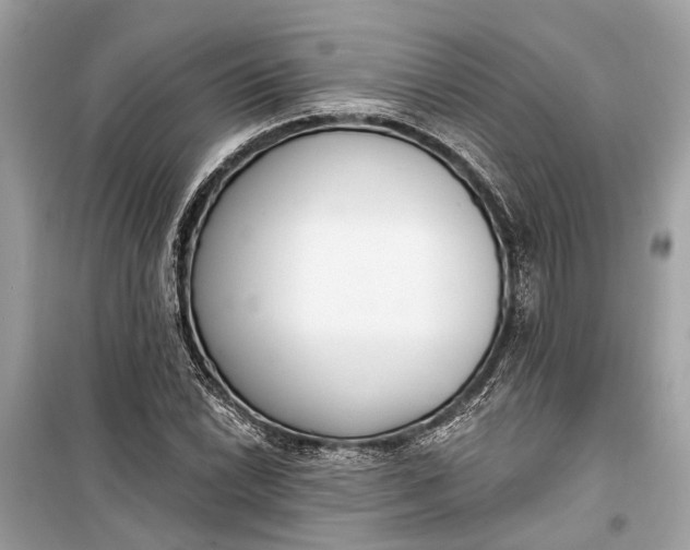 X0000099301022200805161343