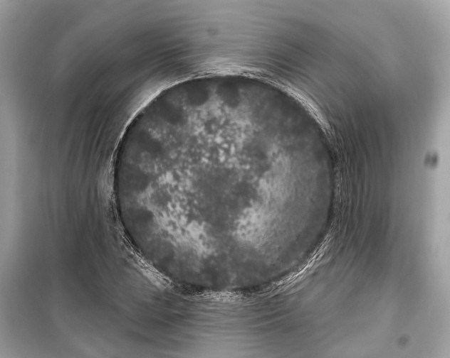 X0000099301023200805161343