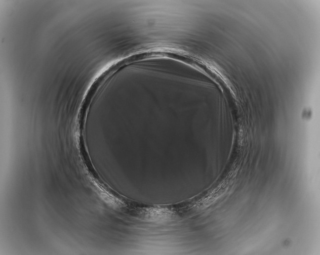 X0000099301024200805161343