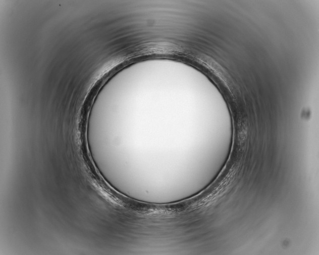 X0000099301026200805161343