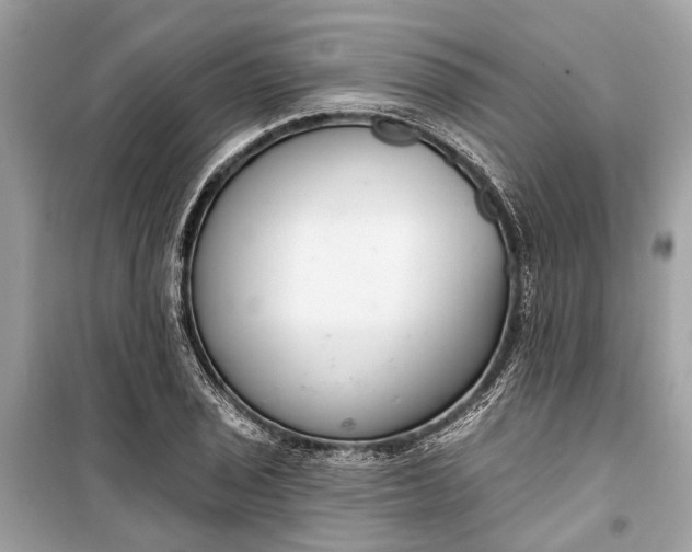 X0000099301029200805161343