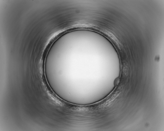 X0000099301030200805161343