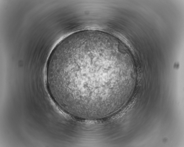 X0000099301032200805161343