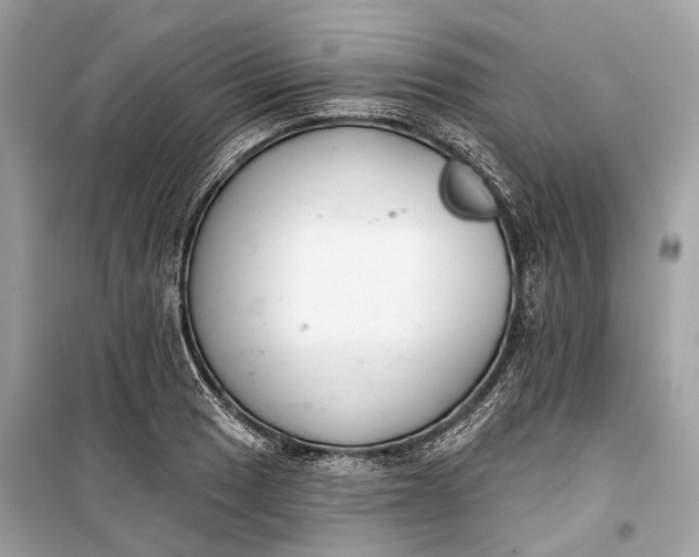 X0000099301033200805161343