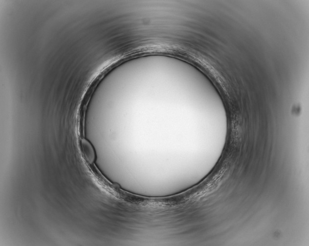 X0000099301034200805161344