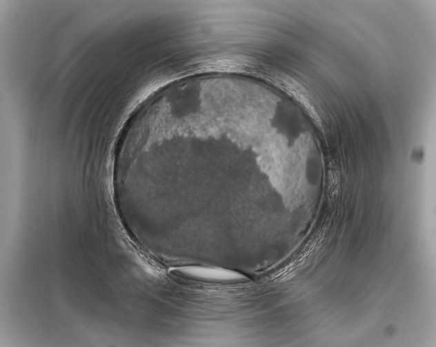 X0000099301035200805161344