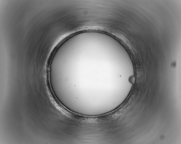 X0000099301038200805161344