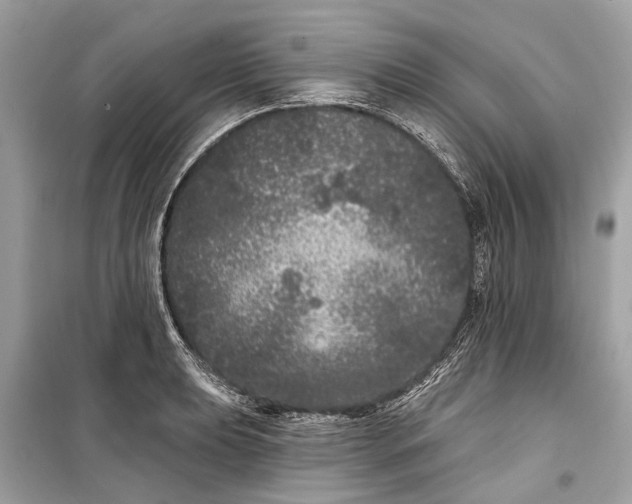 X0000099301039200805161344