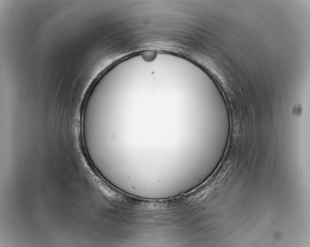 X0000099301040200805161344