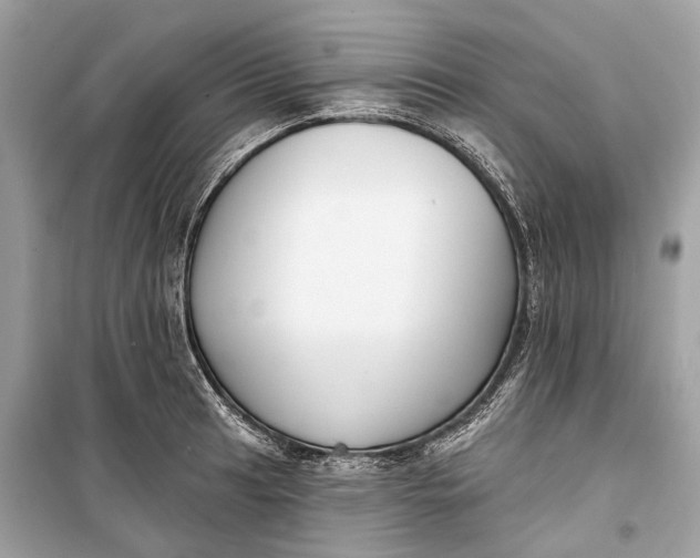 X0000099301041200805161344