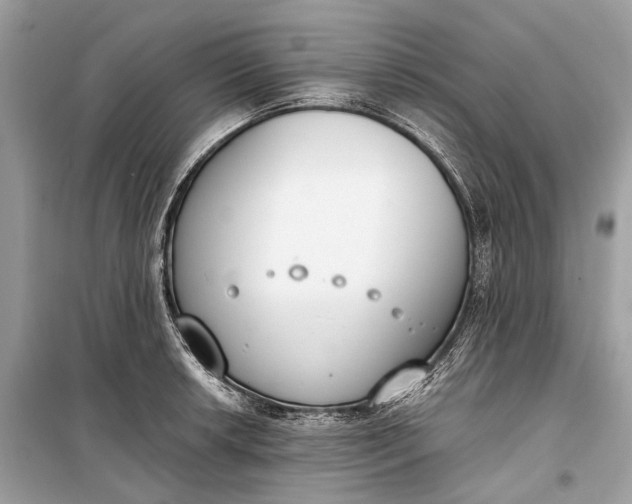 X0000099301042200805161344