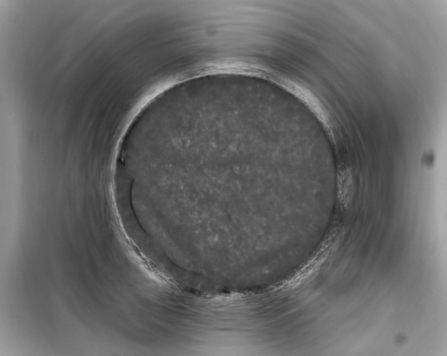 X0000099301043200805161344