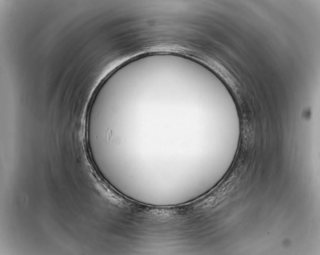 X0000099301044200805161344