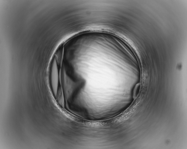 X0000099301045200805161344